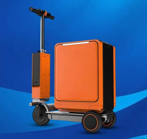 Scooter Luggage